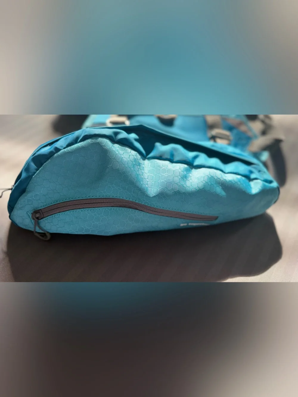 Kurgo Baxter Dog Harness Backpack